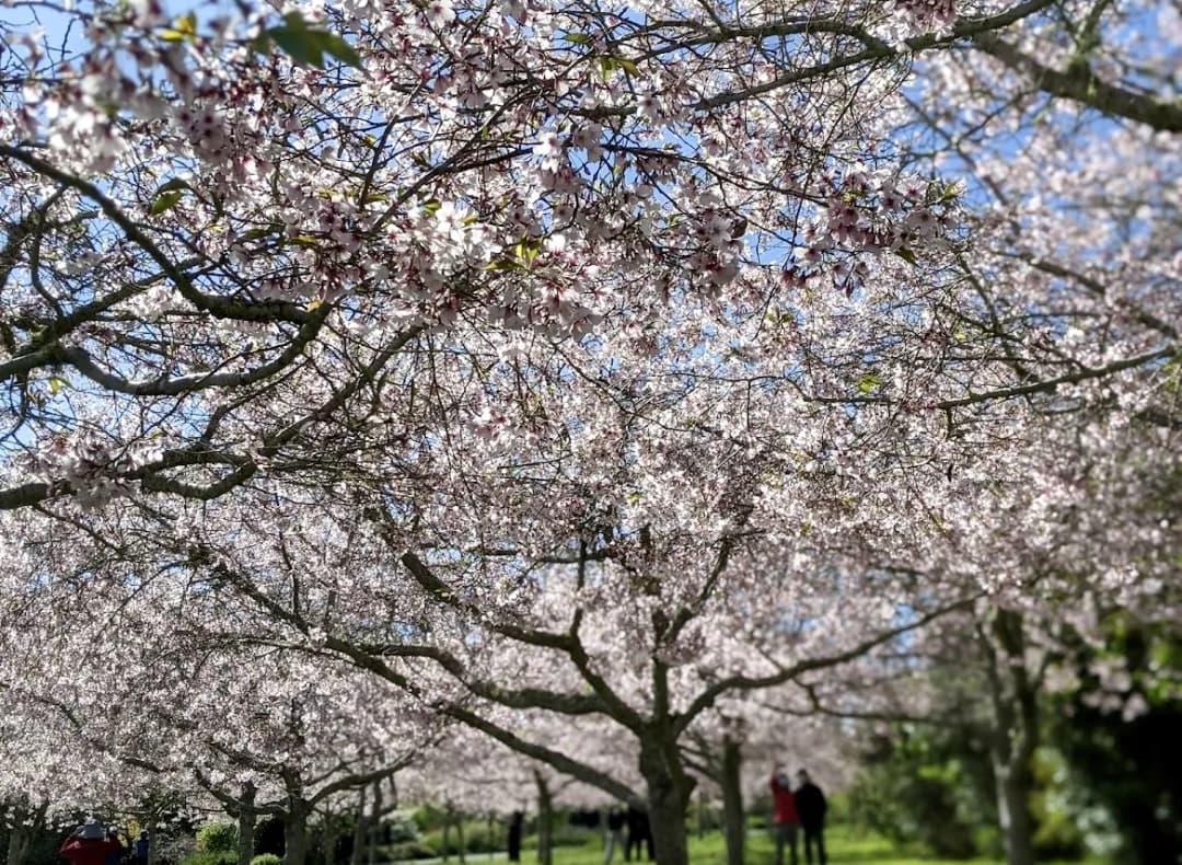 Auckland Botanic Garden