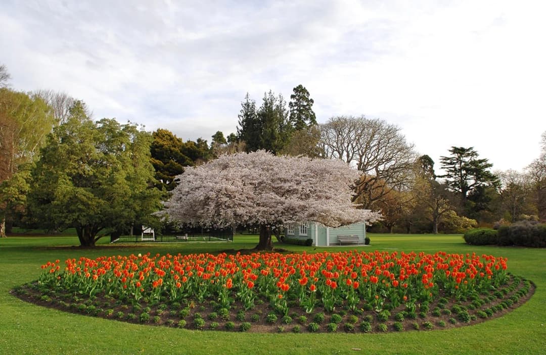 Christ Church Botani Gardens