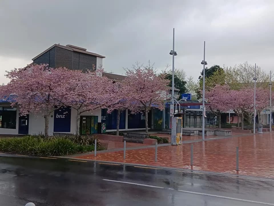 Pukekohe Town Square