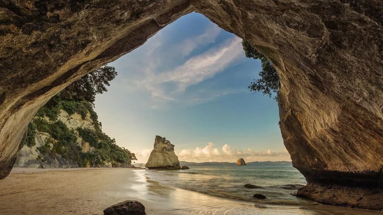 coromandel