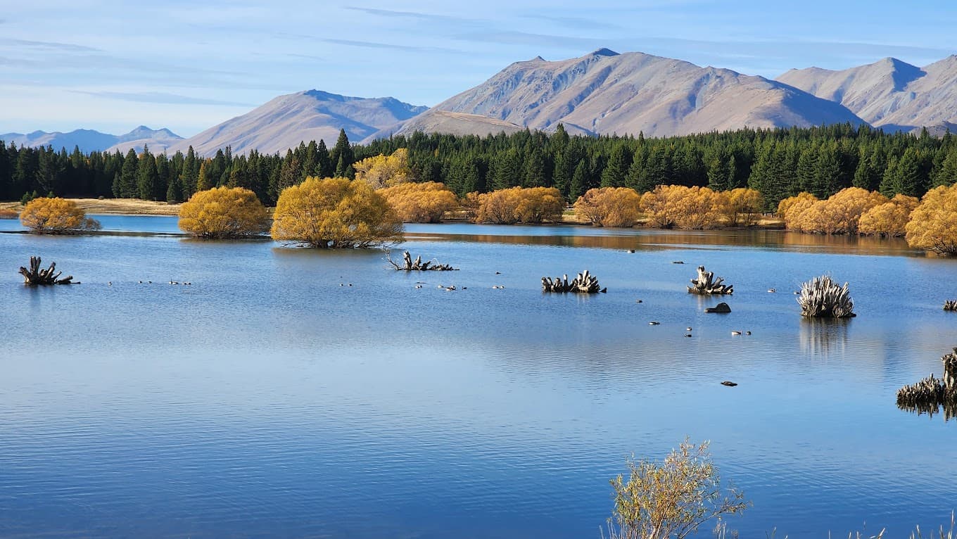 Lake Tekapo Regional Park