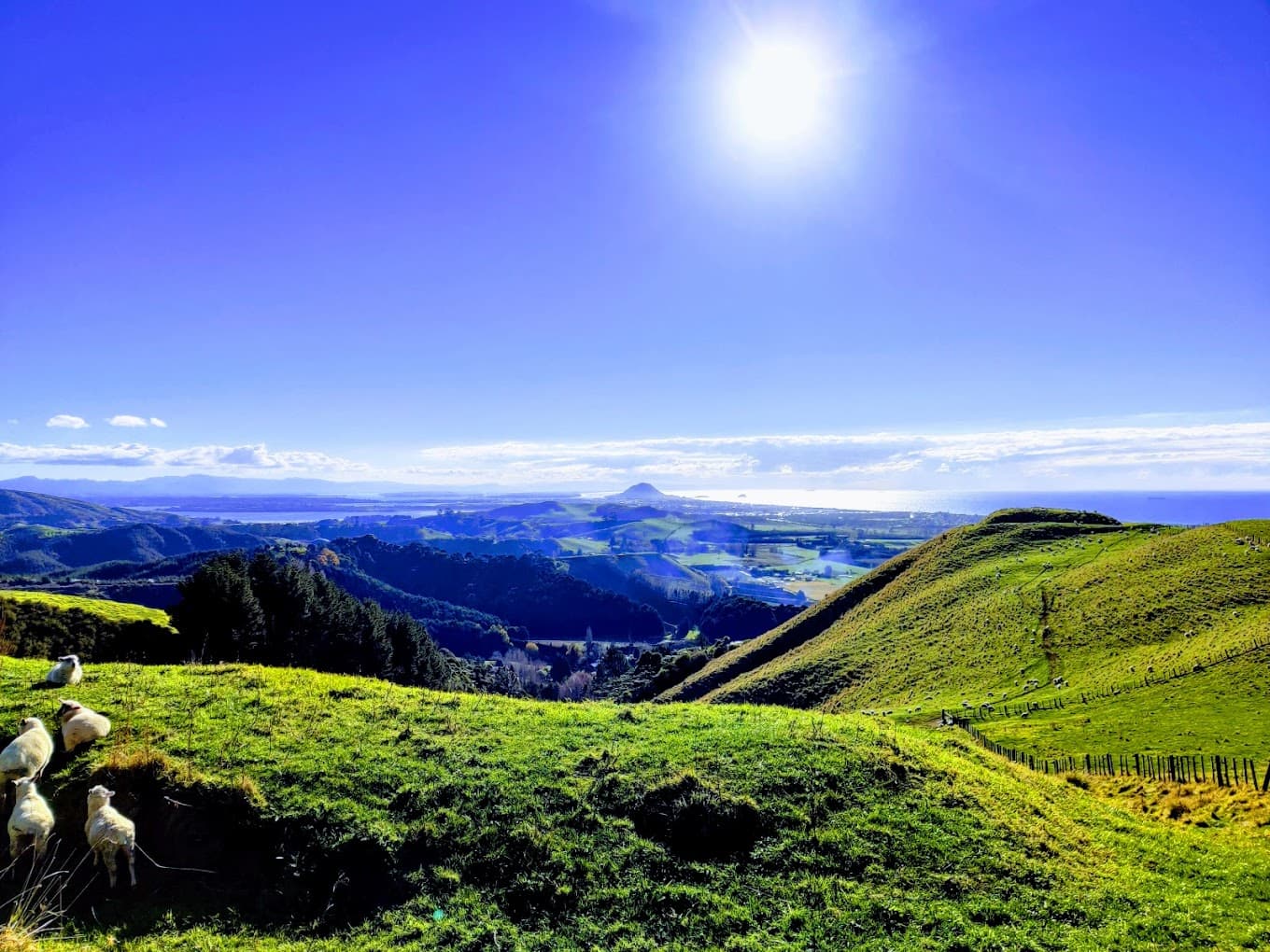 Papamoa Hills Regional Park