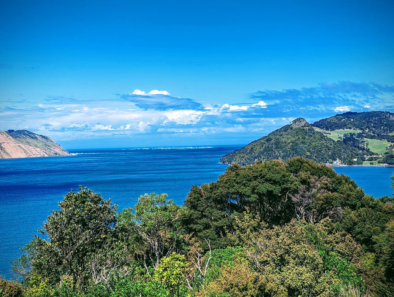 Waitakere Ranges