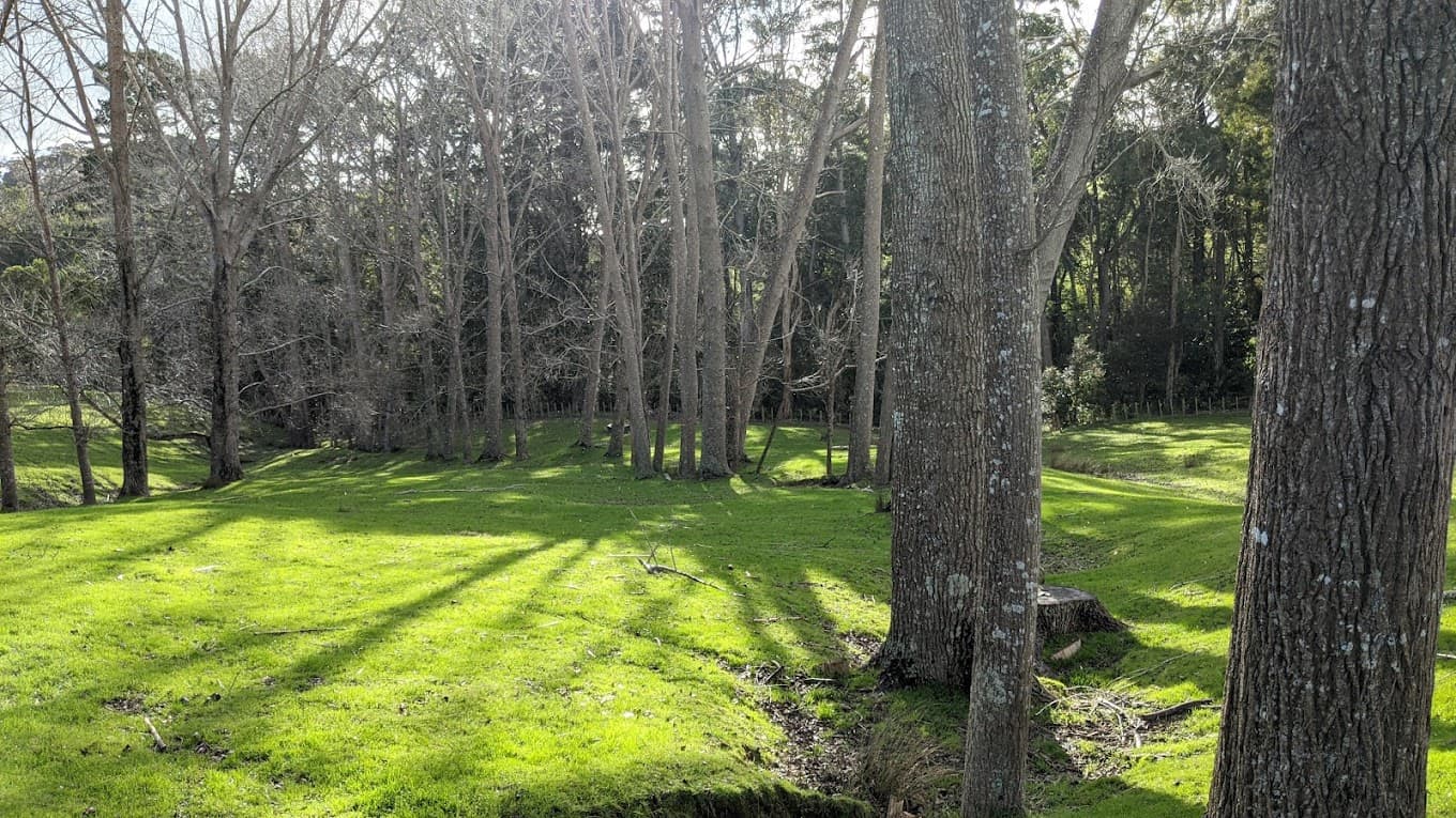 Ātiu Creek Regional Park