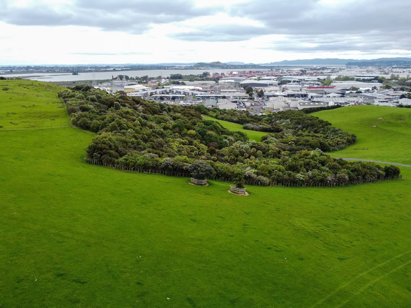 Mutukaroa / Hamlins Hill Regional Park