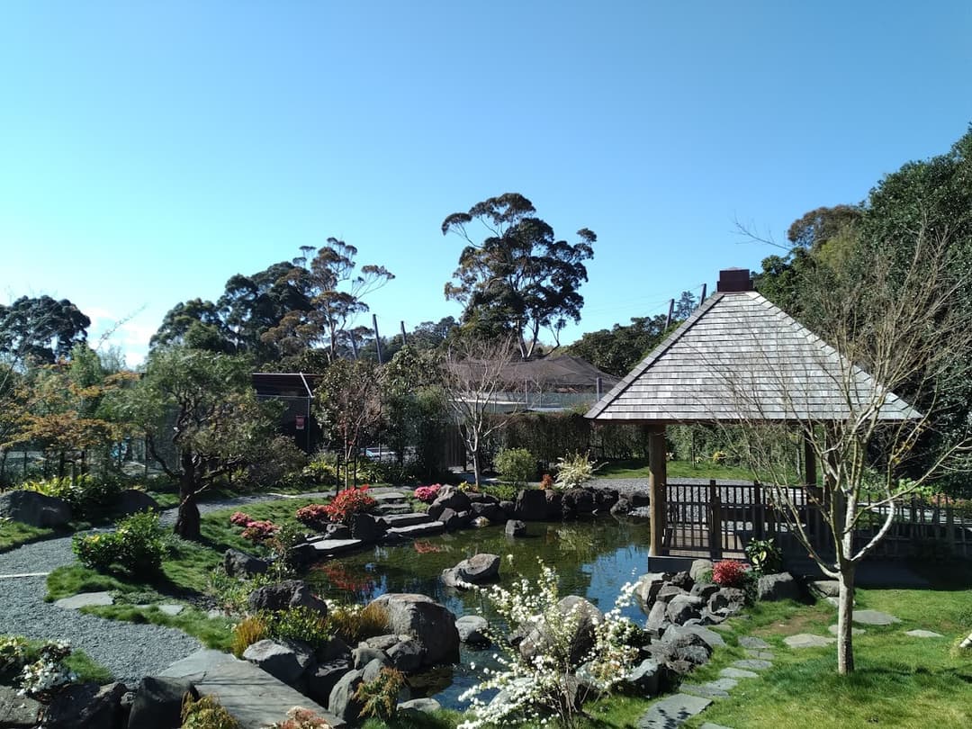 Japanese Fukuoka Garden, Captured by Derek Kelly