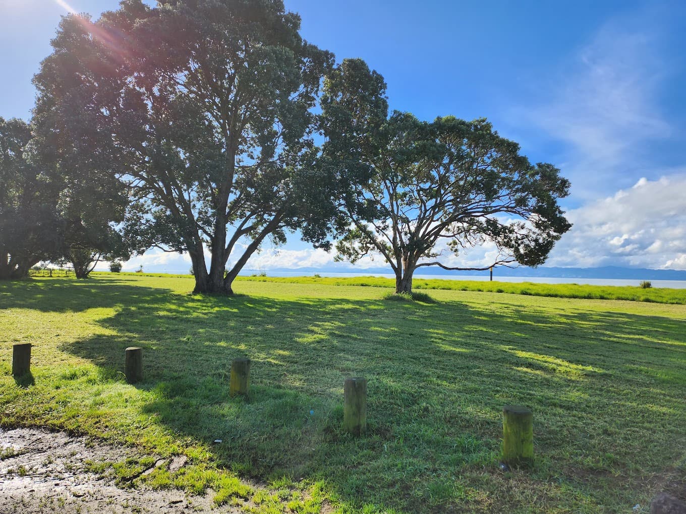 Waharau Regional Park