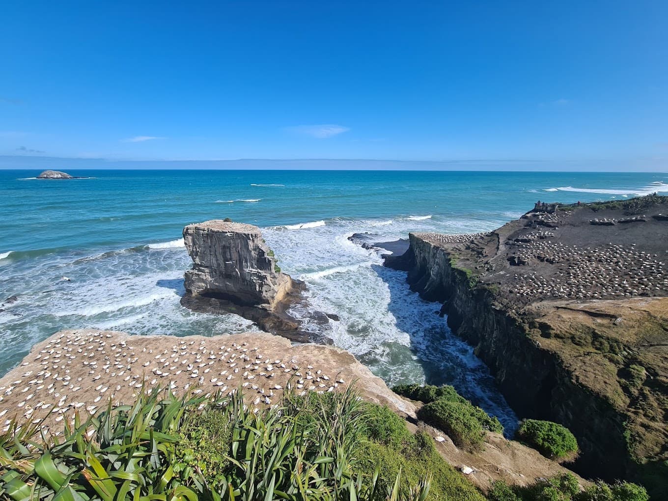 Muriwai Regional Park