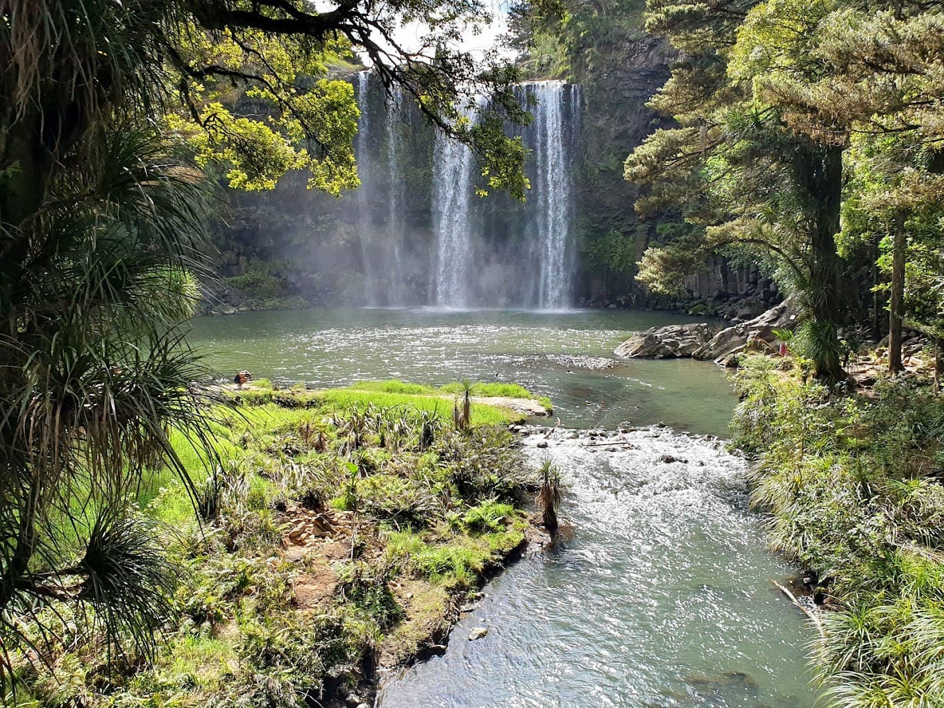 Whangārei Falls