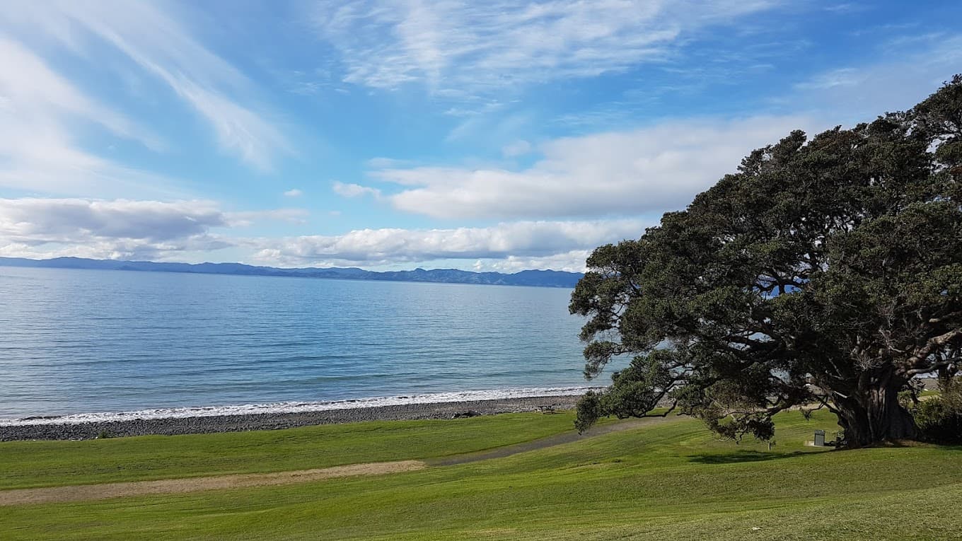 Tāpapakanga Regional Park