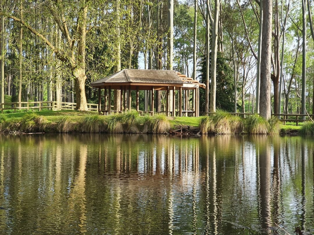 Taitua Arboretum, Captured by Abhilash Sebastian